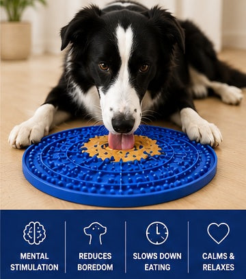Nexora Premium Dog Lick Mat Set-Large + Small + Spatula